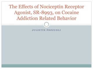 J U L I E T T E P O Z Z U O L I
The Effects of Nociceptin Receptor
Agonist, SR-8993, on Cocaine
Addiction Related Behavior
 