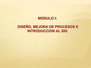 MODULO I:
DISEÑO, MEJORA DE PROCESOS E
INTRODUCCION AL SIG
 