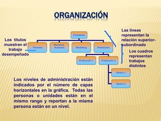 ORGANIZACIÓN
Presidente
Finanzas
Recursos
Humanos Marketing Producción
Producción 1 Producción 2
Obrero 1
Obrero 2
Los cuadros
representan
trabajos
distintos
Los títulos
muestran el
trabajo
desempeñado
Las líneas
representan la
relación superior-
subordinado
Los niveles de administración están
indicados por el número de capas
horizontales en la gráfica. Todas las
personas o unidades están en el
mismo rango y reportan a la misma
persona están en un nivel.
 