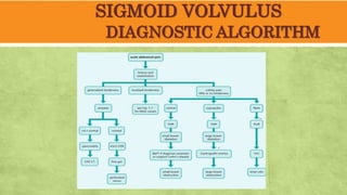 SIGMOID VOLVULUS
DIAGNOSTIC ALGORITHM
 