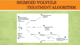 SIGMOID VOLVULS
TREATMENT ALGORITHM
 