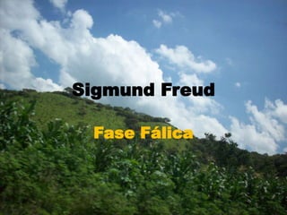 Sigmund Freud  Fase Fálica  