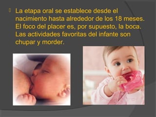  La etapa oral se establece desde el
nacimiento hasta alrededor de los 18 meses.
El foco del placer es, por supuesto, la boca.
Las actividades favoritas del infante son
chupar y morder.
 