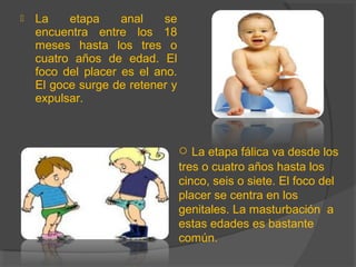  La etapa anal se
encuentra entre los 18
meses hasta los tres o
cuatro años de edad. El
foco del placer es el ano.
El goce surge de retener y
expulsar.
o La etapa fálica va desde los
tres o cuatro años hasta los
cinco, seis o siete. El foco del
placer se centra en los
genitales. La masturbación a
estas edades es bastante
común.
 