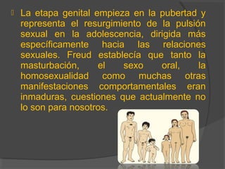  La etapa genital empieza en la pubertad y
representa el resurgimiento de la pulsión
sexual en la adolescencia, dirigida más
específicamente hacia las relaciones
sexuales. Freud establecía que tanto la
masturbación, el sexo oral, la
homosexualidad como muchas otras
manifestaciones comportamentales eran
inmaduras, cuestiones que actualmente no
lo son para nosotros.
 