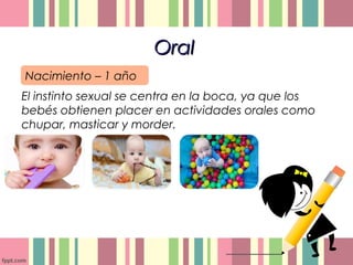 OralOral
El instinto sexual se centra en la boca, ya que los
bebés obtienen placer en actividades orales como
chupar, masticar y morder.
Nacimiento – 1 año
 