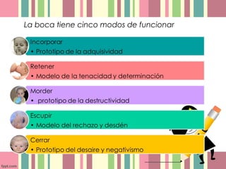 La boca tiene cinco modos de funcionar
 