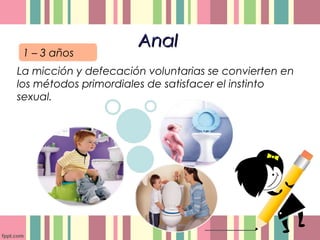 AnalAnal
La micción y defecación voluntarias se convierten en
los métodos primordiales de satisfacer el instinto
sexual.
1 – 3 años
 