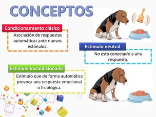 Asociación de respuestas
automáticas ante nuevos
estímulos.
Condicionamiento clásico
No está conectado a una
respuesta.
Estímulo neutral
Estímulo que de forma automática
provoca una respuesta emocional
o fisiológica.
Estímulo incondicionado
 