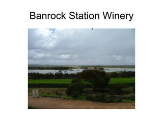 Banrock Station Winery 