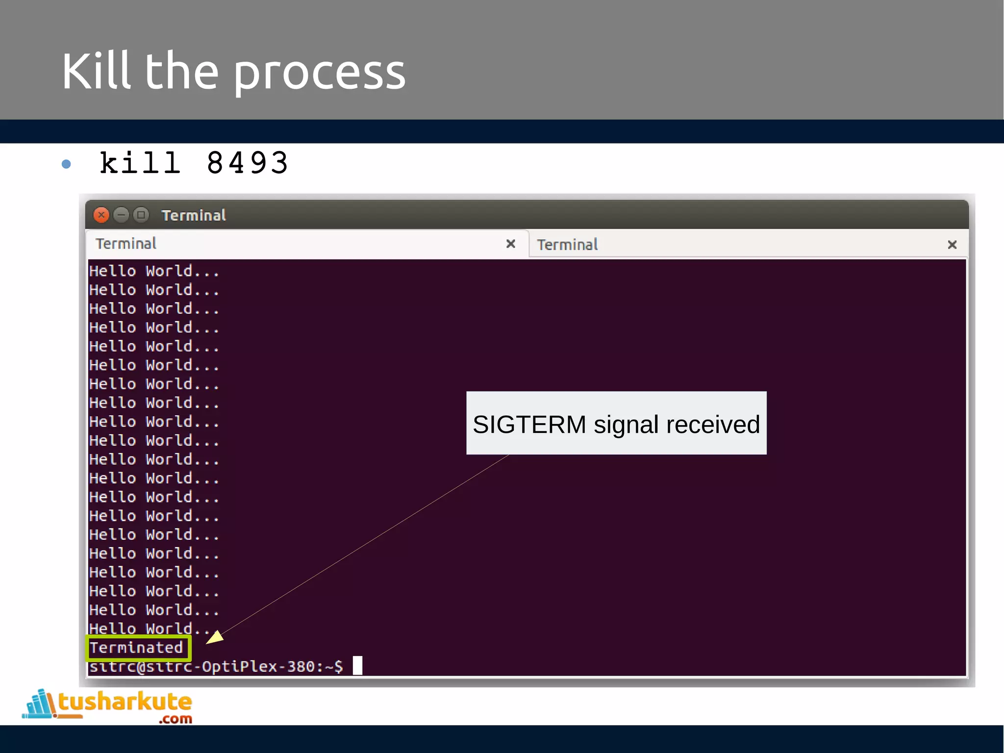 • kill 8493
Kill the process
SIGTERM signal received
 
