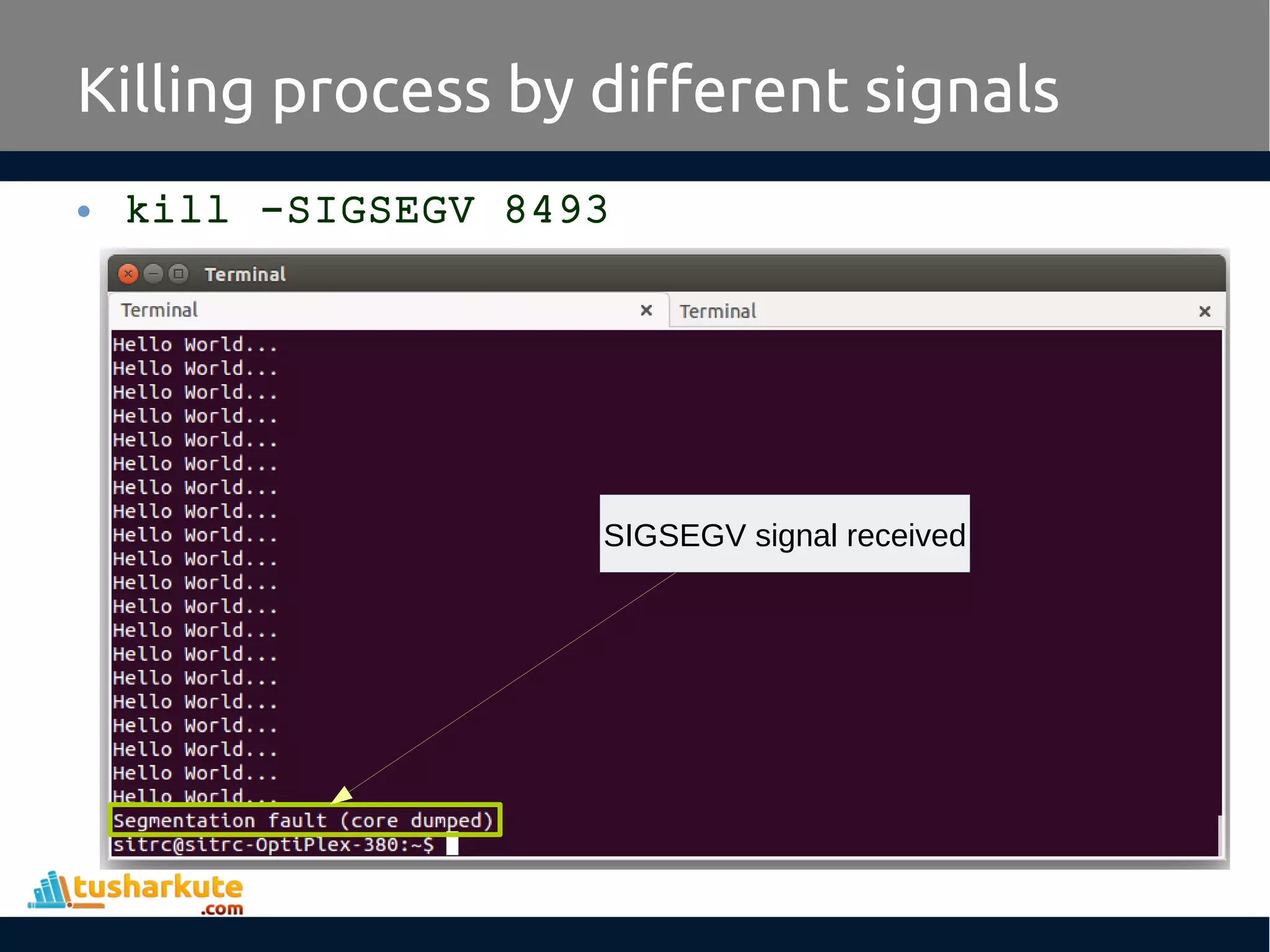 • kill -SIGSEGV 8493
Killing process by different signals
SIGSEGV signal received
 