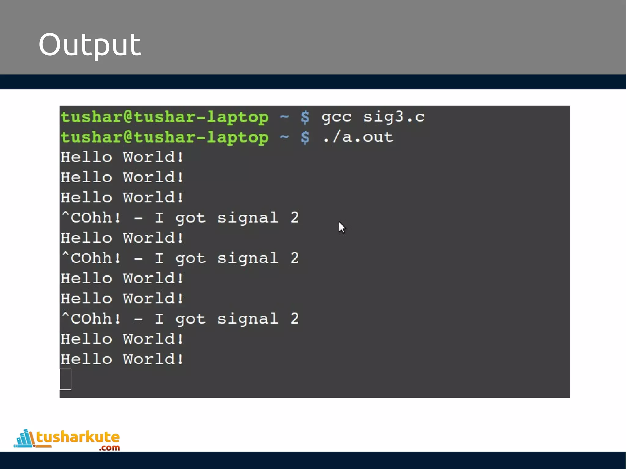 Output
 