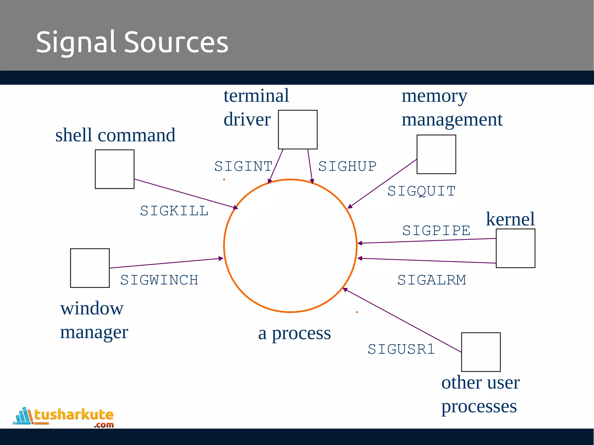 Signal Sources
a process
window
manager
shell command
terminal
driver
memory
management
kernel
other user
processes
SIGWINCH
SIGKILL
SIGINT SIGHUP
SIGQUIT
SIGALRM
SIGPIPE
SIGUSR1
 