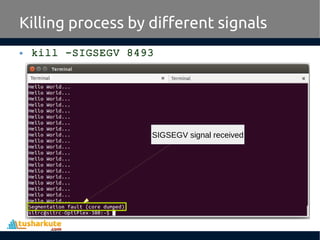 • kill -SIGSEGV 8493
Killing process by different signals
SIGSEGV signal received
 