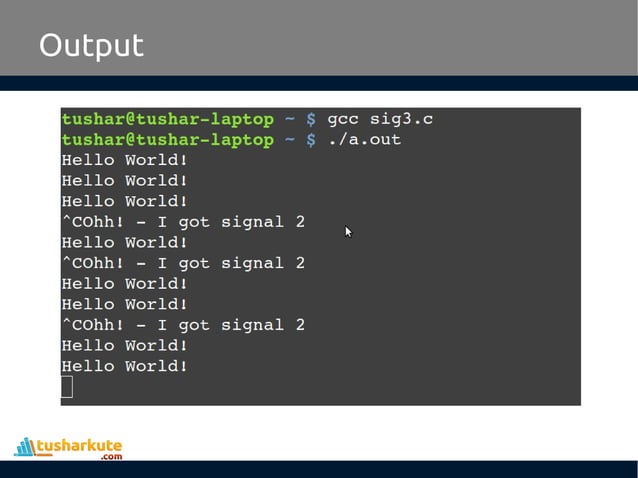 Signal Handling in Linux | PDF
