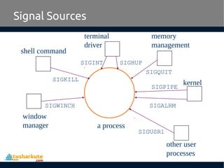 Signal Sources
a process
window
manager
shell command
terminal
driver
memory
management
kernel
other user
processes
SIGWINCH
SIGKILL
SIGINT SIGHUP
SIGQUIT
SIGALRM
SIGPIPE
SIGUSR1
 