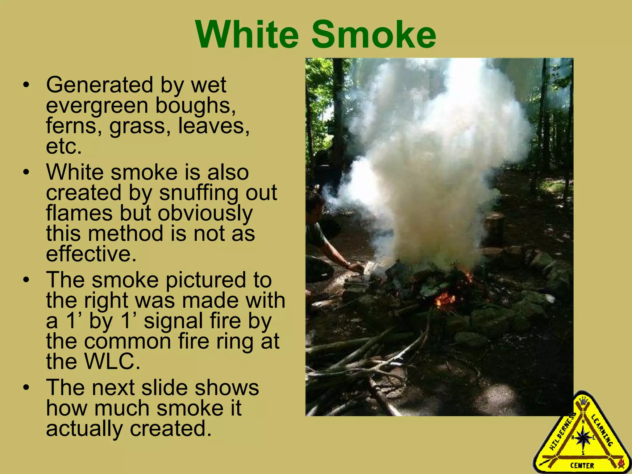 White Smoke Generated by wet evergreen boughs, ferns, grass, leaves, etc.  White smoke is also created by snuffing out flames but obviously this method is not as effective.  The smoke pictured to the right was made with a 1’ by 1’ signal fire by the common fire ring at the WLC. The next slide shows how much smoke it actually created.  
