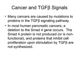 Cancer and TGF β  Signals Many cancers are caused by mutations to proteins in the TGF β  signaling pathway.  In most human pancreatic cancers, a deletion to the Smad 4 gene occurs.  The Smad 4 protein is not produced (or is non-functional), and proteins that inhibit cell proliferation upon stimulation by TGF β  are not synthesized. 