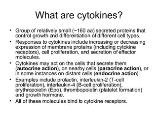 What are cytokines? Group of relatively small ( ~ 160 aa) secreted proteins that control growth and differentiation of different cell types. Responses to cytokines include increasing or decreasing expression of membrane proteins (including cytokine receptors), cell proliferation, and secretion of effector molecules.  Cytokines may act on the cells that secrete them ( autocrine action ), on nearby cells ( paracrine action ), or in some instances on distant cells ( endocrine action ).  Examples include prolactin, interleukin-2 (T-cell proliferation), interleukin-4 (B-cell proliferation), erythropoietin (Epo), thrombopoietin (platelet formation) and growth hormone. All of these molecules bind to cytokine receptors. 