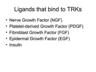 Ligands that bind to TRKs Nerve Growth Factor (NGF) Platelet-derived Growth Factor (PDGF) Fibroblast Growth Factor (FGF) Epidermal Growth Factor (EGF) Insulin 