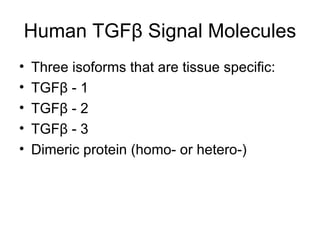 Human TGF β  Signal Molecules Three isoforms that are tissue specific: TGF β  - 1 TGF β  - 2 TGF β  - 3 Dimeric protein (homo- or hetero-) 