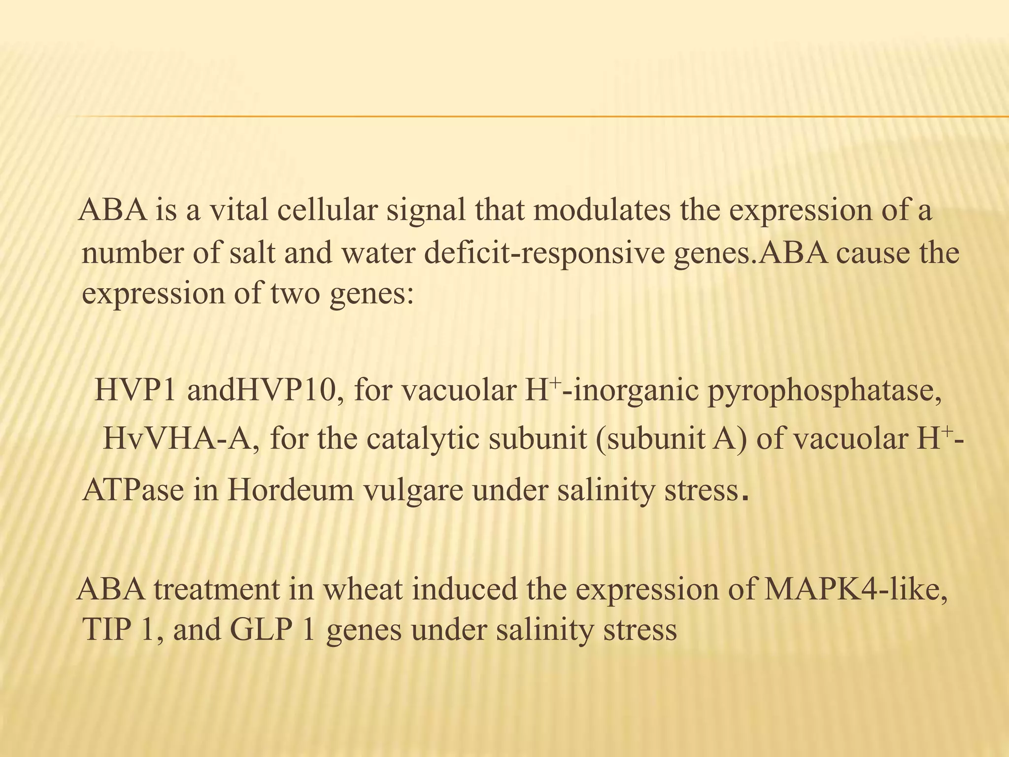 ABA is a vital cellular signal that modulates the expression of a
number of salt and water deficit-responsive genes.ABA cause the
expression of two genes:
HVP1 andHVP10, for vacuolar H+-inorganic pyrophosphatase,
HvVHA-A, for the catalytic subunit (subunit A) of vacuolar H+-
ATPase in Hordeum vulgare under salinity stress.
ABA treatment in wheat induced the expression of MAPK4-like,
TIP 1, and GLP 1 genes under salinity stress
 