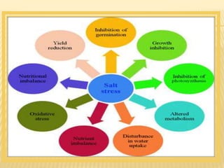 PLANTS RESPONSE MECHANISMS TO SALINITY STRESS visual data 8
