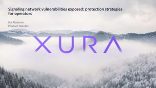 Signaling network vulnerabilities exposed: protection strategies
for operators
Ilia Abramov
Product Director
 