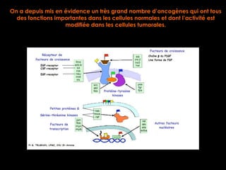 On a depuis mis en évidence un très grand nombre d’oncogènes qui ont tous
  des fonctions importantes dans les cellules normales et dont l’activité est
                   modifiée dans les cellules tumorales.
 