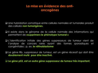 La mise en évidence des anti-
                          oncogènes


 Une hybridation somatique entre cellules normales et tumorales produit
  des cellules non tumorigènes.

 Il existe dans le génome de la cellule normale des informations qui
  permettent de «supprimer» le phénotype tumoral »

 L’identification initiale des gènes suppresseurs de tumeur vient de
  l’analyse de cancers rares ayant des formes sporadiques et
  congénitales : p. ex. le rétinoblastome

 Le gène Rb, suppresseur de tumeur, est un gène récessif qui doit être
  doublement muté pour être inactivé.

 Le gène p53, est un autre gène suppresseur de tumeur très important,
 