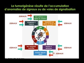 La tumorigénèse résulte de l’accumulation
d’anomalies de signaux ou de voies de signalisation
 