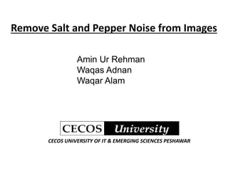 Remove Salt and Pepper Noise from Images
Amin Ur Rehman
Waqas Adnan
Waqar Alam
CECOS UNIVERSITY OF IT & EMERGING SCIENCES PESHAWAR
 