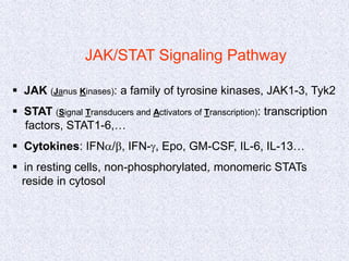 JAK/STAT Signaling Pathway
 JAK (Janus Kinases): a family of tyrosine kinases, JAK1-3, Tyk2
 STAT (Signal Transducers and Activators of Transcription): transcription
factors, STAT1-6,…
 Cytokines: IFNa/b, IFN-g, Epo, GM-CSF, IL-6, IL-13…
 in resting cells, non-phosphorylated, monomeric STATs
reside in cytosol
 