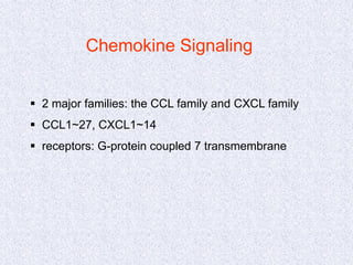 Chemokine Signaling
 2 major families: the CCL family and CXCL family
 CCL1~27, CXCL1~14
 receptors: G-protein coupled 7 transmembrane
 