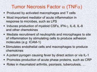 Tumor Necrosis Factor a (TNFa)
 Produced by activated macrophages and T cells
 Most important mediator of acute inflammation in
response to microbes, such as LPS
 Induces production of myeloid CSFs, IFN-g, IL-6, IL-8
and other chemokines
 Mediate recruitment of neutrophils and microphages to site
of inflammation by stimulating cells to produce adhesion
molecules (e.g. ICAM-1)
 Stimulates endothelial cells and macrophages to produce
chemokines
 A potent pyrogen causing fever by direct action or via IL-1
 Promotes production of acute phase proteins, such as CRP
 Roles in rheumatoid arthritis, psoriasis, tuberculosis, …
 