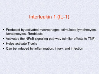 Interleukin 1 (IL-1)
 Produced by activated macrophages, stimulated lymphocytes,
keratinocytes, fibroblasts
 Activates the NFkB signaling pathway (similar effects to TNF)
 Helps activate T cells
 Can be induced by inflammation, injury, and infection
 