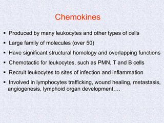 Chemokines
 Produced by many leukocytes and other types of cells
 Large family of molecules (over 50)
 Have significant structural homology and overlapping functions
 Chemotactic for leukocytes, such as PMN, T and B cells
 Recruit leukocytes to sites of infection and inflammation
 Involved in lymphocytes trafficking, wound healing, metastasis,
angiogenesis, lymphoid organ development….
 