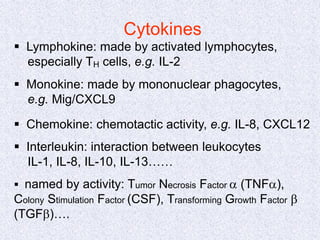 Cytokines
 Lymphokine: made by activated lymphocytes,
especially TH cells, e.g. IL-2
 Monokine: made by mononuclear phagocytes,
e.g. Mig/CXCL9
 Chemokine: chemotactic activity, e.g. IL-8, CXCL12
 Interleukin: interaction between leukocytes
IL-1, IL-8, IL-10, IL-13……
 named by activity: Tumor Necrosis Factor a (TNFa),
Colony Stimulation Factor (CSF), Transforming Growth Factor b
(TGFb)….
 