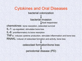 Cytokines and Oral Diseases
bacterial colonization
periodontal disease (PD)
bacterial invasion
osteoclast formation/bone loss
host responses
chemokines: bone resorption, osteoclast survival
IL-1: up-regulated, stimulates bone loss
IL-6: proinflammatory to bone resorption
TNFa: induces cytokine production, stimulate inflammation and bone loss
RNAKL: inducer of osteoclast formation and activity, bone loss
 