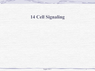 Topic 14-1 1
14 Cell Signaling
 