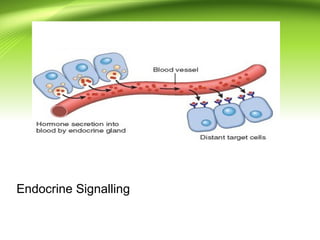 Comprehensive Overview of Cell Growth and Signalling Mechanisms in ...