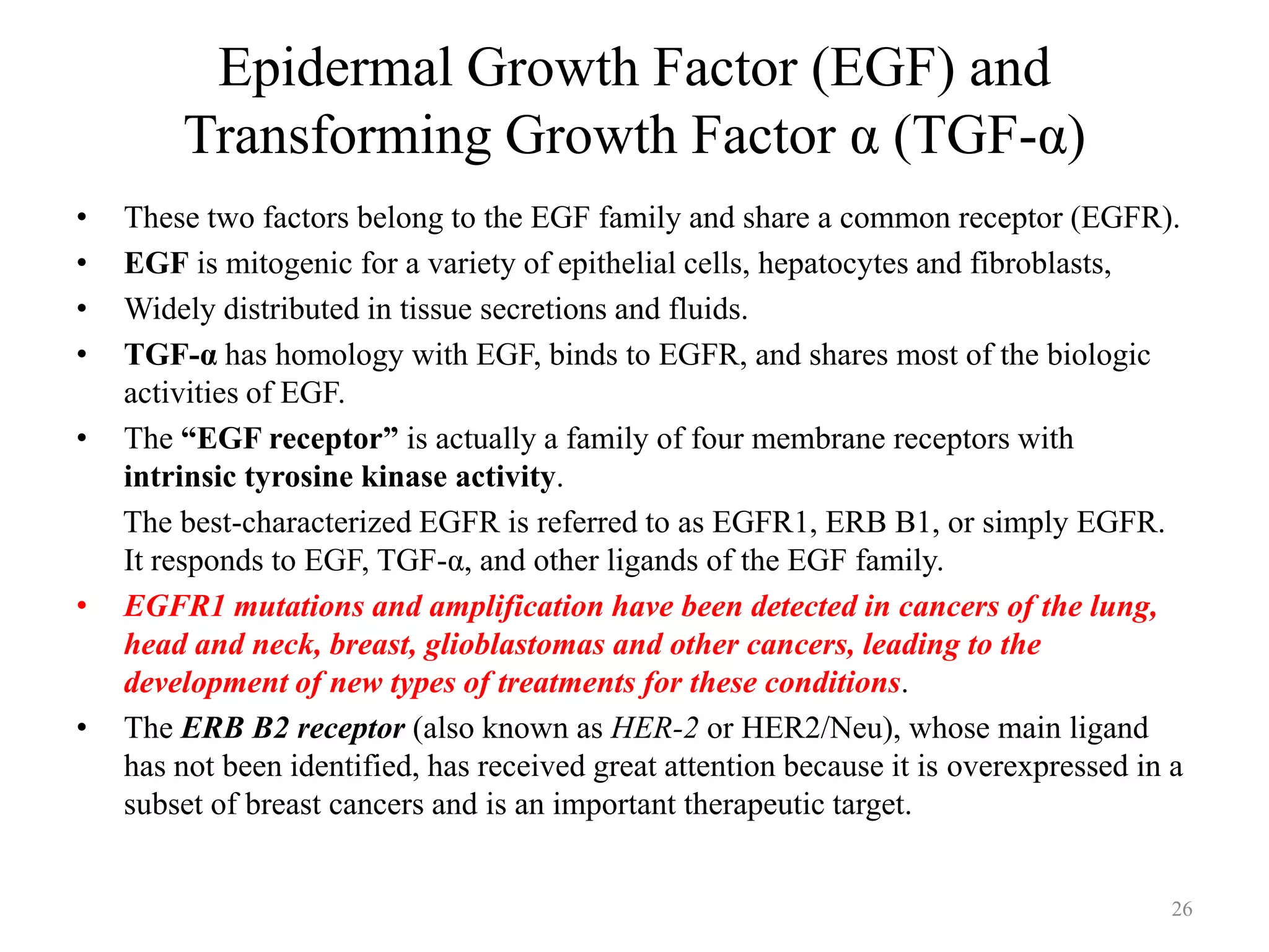 Epidermal Growth Factor (EGF) and
Transforming Growth Factor α (TGF-α)
•
•
•
•
•

•

•

These two factors belong to the EGF family and share a common receptor (EGFR).
EGF is mitogenic for a variety of epithelial cells, hepatocytes and fibroblasts,
Widely distributed in tissue secretions and fluids.
TGF-α has homology with EGF, binds to EGFR, and shares most of the biologic
activities of EGF.
The “EGF receptor” is actually a family of four membrane receptors with
intrinsic tyrosine kinase activity.
The best-characterized EGFR is referred to as EGFR1, ERB B1, or simply EGFR.
It responds to EGF, TGF-α, and other ligands of the EGF family.
EGFR1 mutations and amplification have been detected in cancers of the lung,
head and neck, breast, glioblastomas and other cancers, leading to the
development of new types of treatments for these conditions.
The ERB B2 receptor (also known as HER-2 or HER2/Neu), whose main ligand
has not been identified, has received great attention because it is overexpressed in a
subset of breast cancers and is an important therapeutic target.

26

 