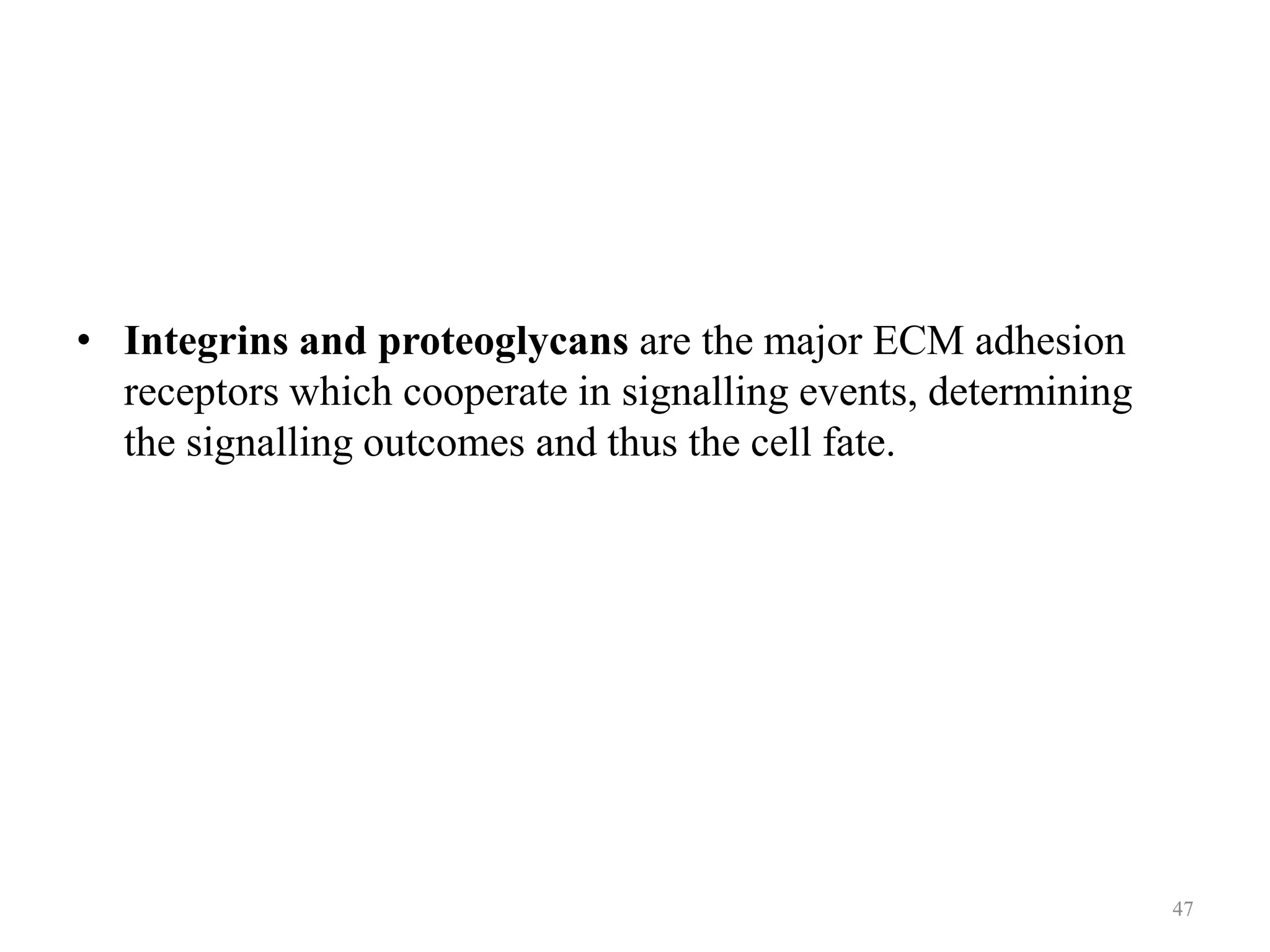 • Integrins and proteoglycans are the major ECM adhesion
receptors which cooperate in signalling events, determining
the signalling outcomes and thus the cell fate.

47

 