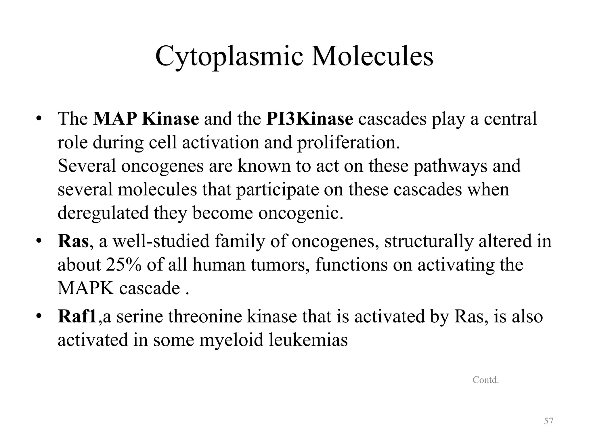 Cytoplasmic Molecules
• The MAP Kinase and the PI3Kinase cascades play a central
role during cell activation and proliferation.
Several oncogenes are known to act on these pathways and
several molecules that participate on these cascades when
deregulated they become oncogenic.
• Ras, a well-studied family of oncogenes, structurally altered in
about 25% of all human tumors, functions on activating the
MAPK cascade .
• Raf1,a serine threonine kinase that is activated by Ras, is also
activated in some myeloid leukemias
Contd.

57

 