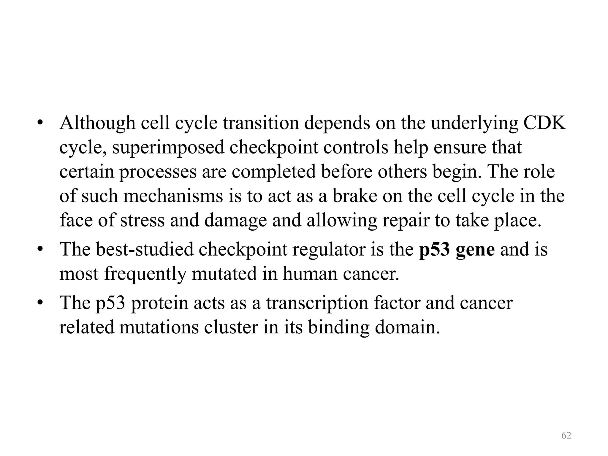 • Although cell cycle transition depends on the underlying CDK
cycle, superimposed checkpoint controls help ensure that
certain processes are completed before others begin. The role
of such mechanisms is to act as a brake on the cell cycle in the
face of stress and damage and allowing repair to take place.
• The best-studied checkpoint regulator is the p53 gene and is
most frequently mutated in human cancer.
• The p53 protein acts as a transcription factor and cancer
related mutations cluster in its binding domain.

62

 