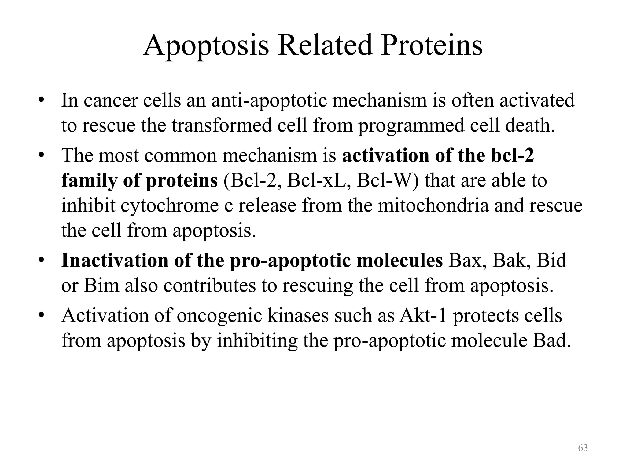 Apoptosis Related Proteins
• In cancer cells an anti-apoptotic mechanism is often activated
to rescue the transformed cell from programmed cell death.
• The most common mechanism is activation of the bcl-2
family of proteins (Bcl-2, Bcl-xL, Bcl-W) that are able to
inhibit cytochrome c release from the mitochondria and rescue
the cell from apoptosis.
• Inactivation of the pro-apoptotic molecules Bax, Bak, Bid
or Bim also contributes to rescuing the cell from apoptosis.
• Activation of oncogenic kinases such as Akt-1 protects cells
from apoptosis by inhibiting the pro-apoptotic molecule Bad.

63

 
