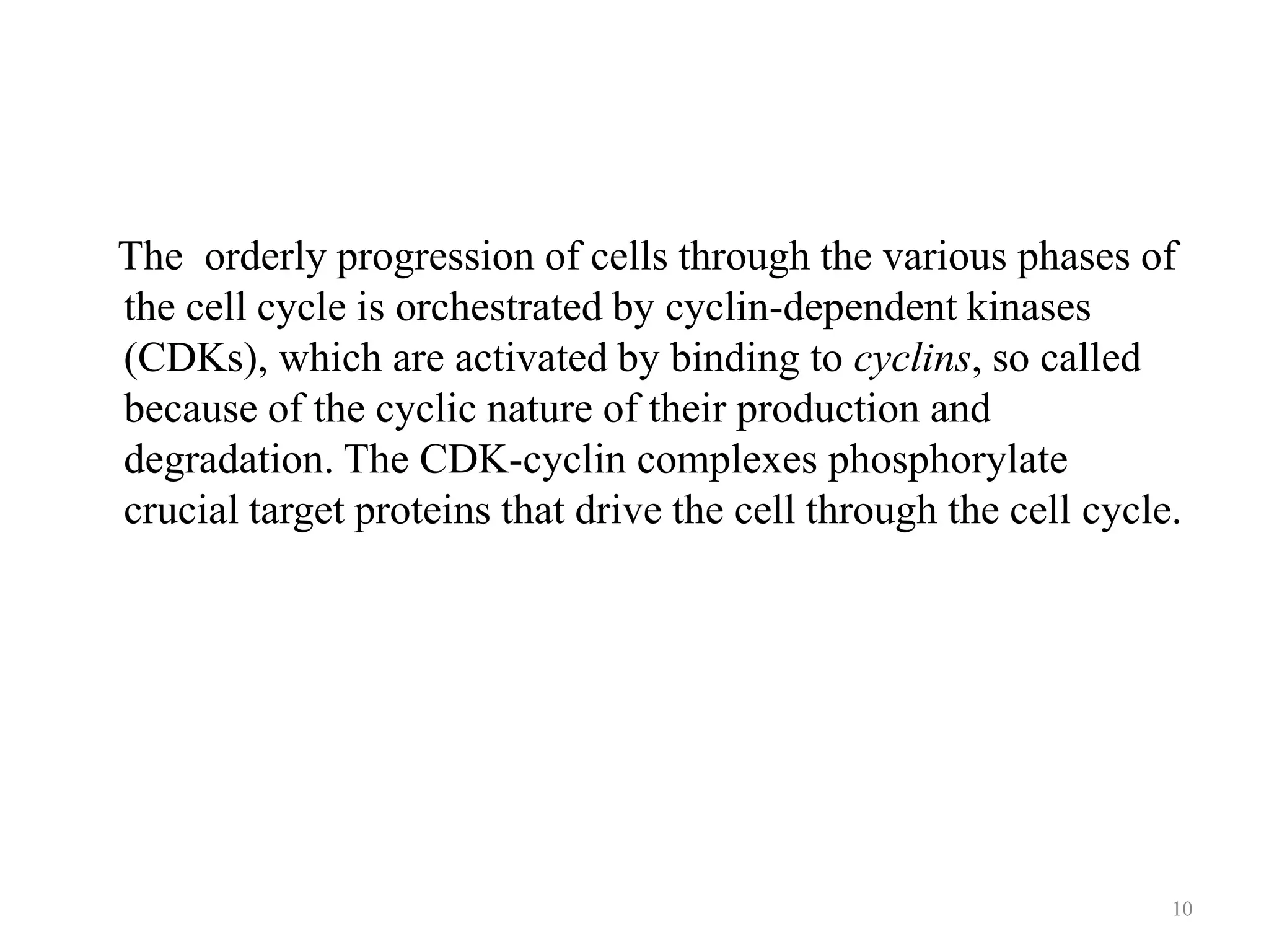 The orderly progression of cells through the various phases of
the cell cycle is orchestrated by cyclin-dependent kinases
(CDKs), which are activated by binding to cyclins, so called
because of the cyclic nature of their production and
degradation. The CDK-cyclin complexes phosphorylate
crucial target proteins that drive the cell through the cell cycle.

10

 