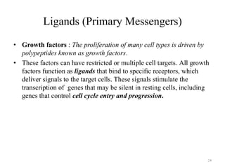 Ligands (Primary Messengers)
• Growth factors : The proliferation of many cell types is driven by
polypeptides known as growth factors.
• These factors can have restricted or multiple cell targets. All growth
factors function as ligands that bind to specific receptors, which
deliver signals to the target cells. These signals stimulate the
transcription of genes that may be silent in resting cells, including
genes that control cell cycle entry and progression.

24

 