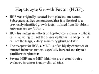 Hepatocyte Growth Factor (HGF).
• HGF was originally isolated from platelets and serum.
Subsequent studies demonstrated that it is identical to a
previously identified growth factor isolated from fibroblasts
known as scatter factor. .
• HGF has mitogenic effects on hepatocytes and most epithelial
cells, including cells of the biliary epithelium, and epithelial
cells of the lungs, kidney, mammary gland, and skin.
• The receptor for HGF, c-MET, is often highly expressed or
mutated in human tumors, especially in renal and thyroid
papillary carcinomas.
• Several HGF and c-MET inhibitors are presently being
evaluated in cancer therapy clinical trials.
27

 
